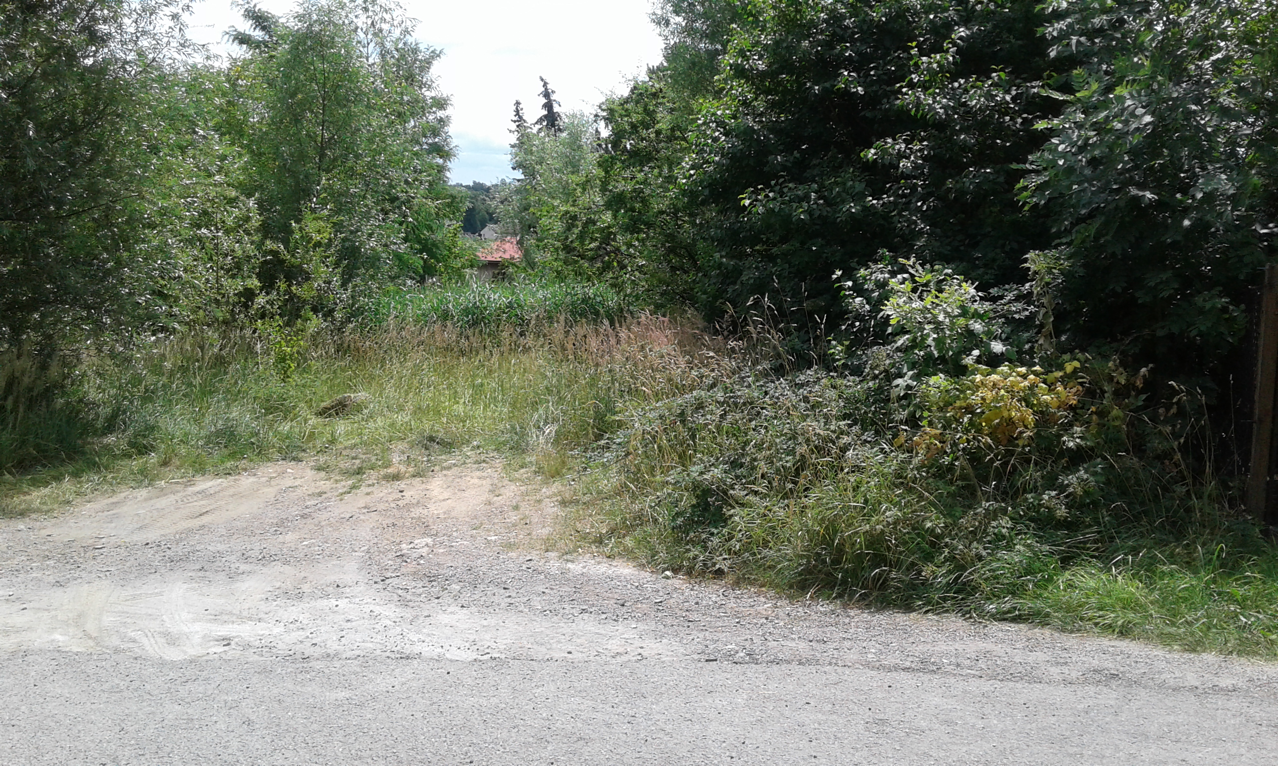 Nieruchomość niezabudowana