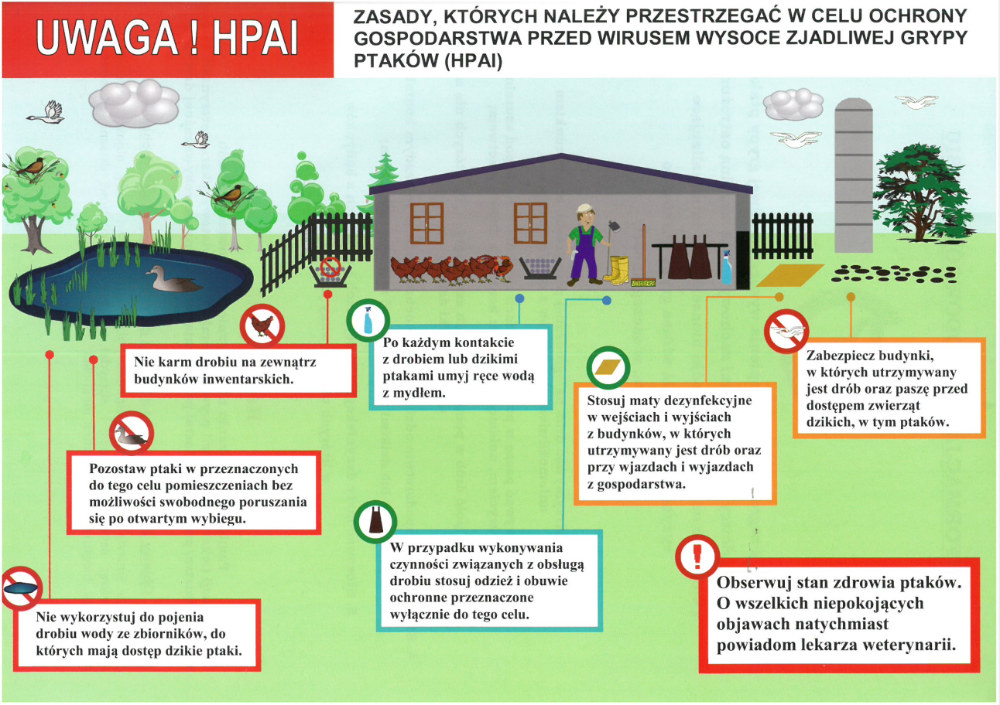 inspektor weterynarii