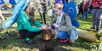 Zainaugurowano akcję Święto Drzewa. Powstał „Ogród Motyli”.
