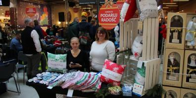 VIII Piknik Organizacji Pozarządowych „Świąteczny Piknik”