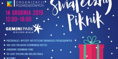 VII Piknik Organizacji Pozarządowych „Świąteczny Piknik”