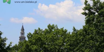 Projekt Ochrony Drzew