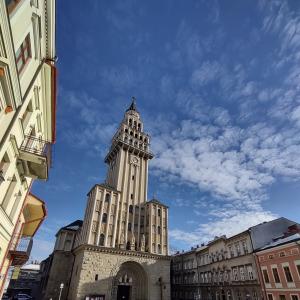 Widok na fasadę katedry po konserwacji kamienia.