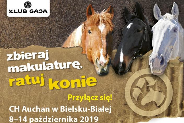„Zbieraj makulaturę, ratuj konie” 