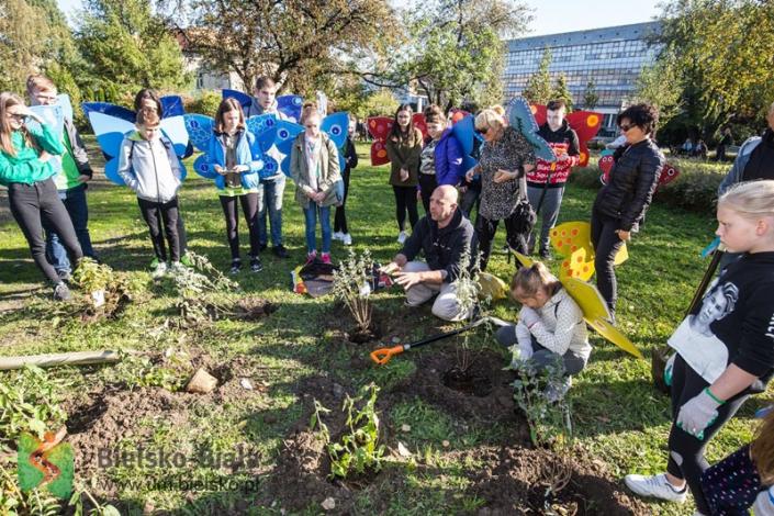 Zainaugurowano akcję Święto Drzewa. Powstał „Ogród Motyli”.